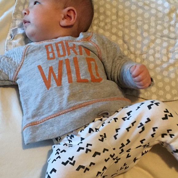 Meet your Posher, Nellie - Picture 1 of 1